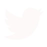  Twitter/X Logo