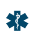 EMS Icon