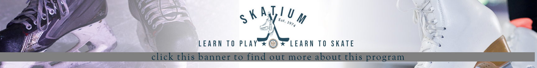 Learn to Skate & Hockey Clinic for 2023-24 Information  & Sign Up Link